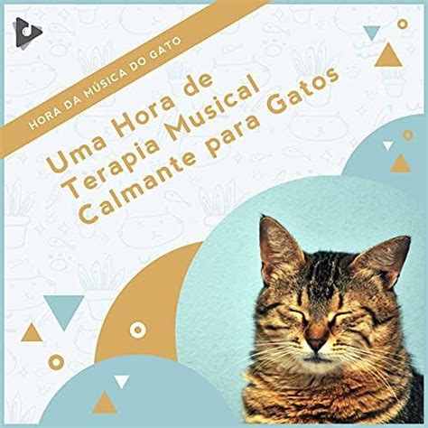 Amazon Co Jp Uma Hora De Terapia Musical Calmante Para Gatos Hora Da