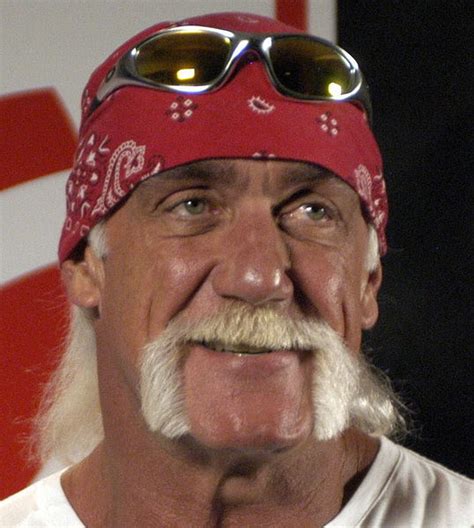 Filehulk Hogan Cropped Wikipedia