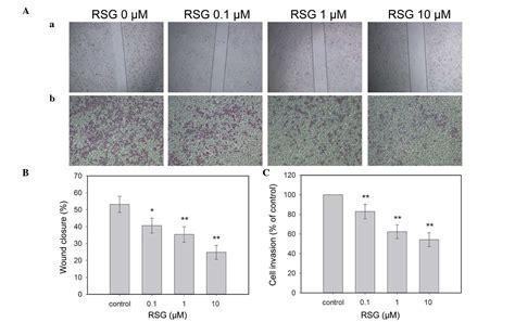 Peroxisome proliferator-activated receptor γ ligands inhibit VEGF ...