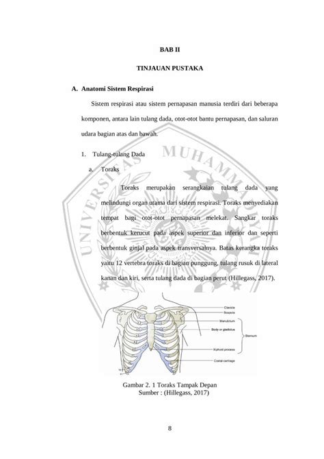 PDF 8 BAB II TINJAUAN PUSTAKA A Anatomi Sistem Respirasi DOKUMEN TIPS