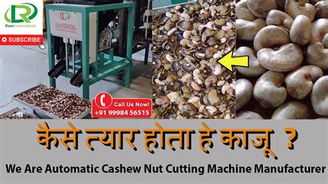 Automatic Cashew Nut Cutting Machine Manufacturer And Suppliers Kaju