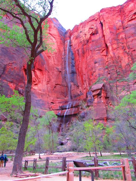 Hiking The Riverside Walk Trail In Zion National Park – PoppinUpUSA.com