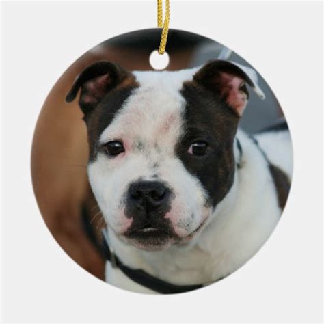 Staffordshire Bull Terrier Ornament Zazzle