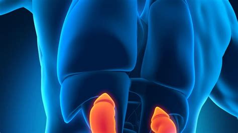 Milrinone: Indications, Side Effects, Mechanism of Action and Precautions - Scope Heal