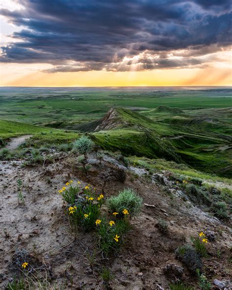 Scott Aspinall - Landscape Workshop in Saskatchewan