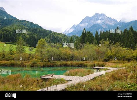 Zelenci Nature Reserve In Autumn In Triglav National Park Kranjska