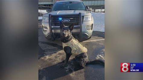 Memorial service set for Connecticut State Police K-9 killed in the ...