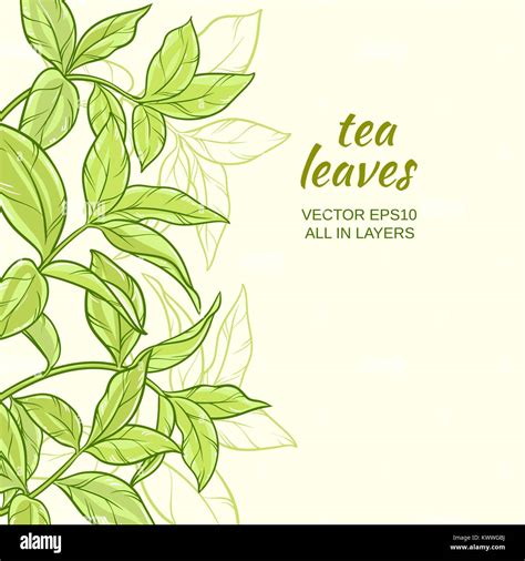 Illustration With Green Tea Leaves On Color Background Stock Vector