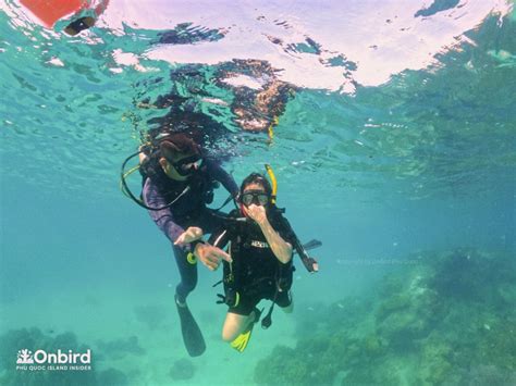 Private Scuba Diving Adventure To Explore Phu Quoc Half Moon Reef U