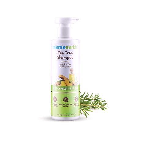 Tea Tree Shampoo for Dandruff Free Hair – JB CART (Head Office ...