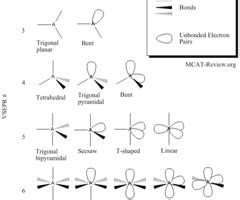 Topic Bonding And Structure Shapes Of Molecules Flashcards Quizlet