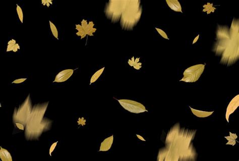 Free Leaf Overlays for Photoshop – 300 Autumn Overlays