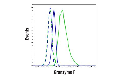 Granzyme F E2U7L Rabbit MAb Cell Signaling Technology