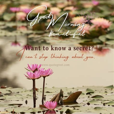 45 Beautiful Good Morning Lotus Flower Images Quotes Wishes