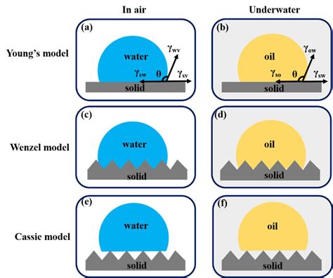 Schematic Illustration Of Wetting Mechanism On The Smooth Surface A