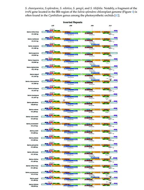 Comparison Of The Border Areas Among The Lsc Ssc And Ir Regions In