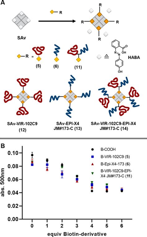 Peptide Bispecifics Inhibiting Hiv 1 Infection By An Orthogonal