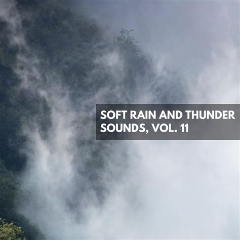 ‎Альбом «Soft Rain and Thunder Sounds, Vol. 11» (Разные артисты) в ...