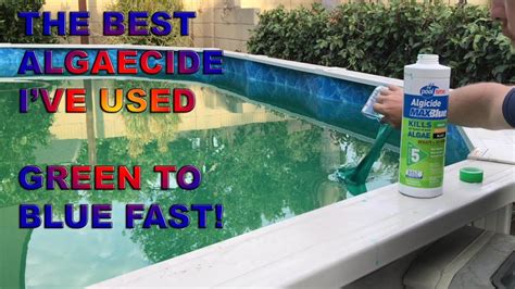 Effortlessly Eradicate Pool Algae Fast Our Expert Tips