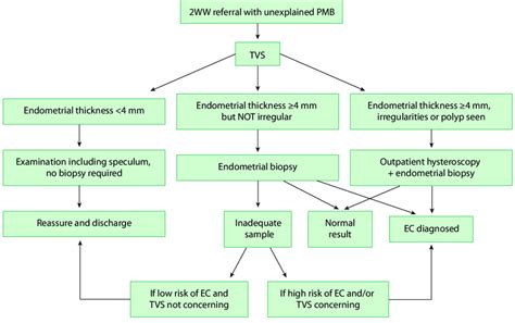 Diagnostic Pathway For Women Presenting With Postmenopausal Bleeding