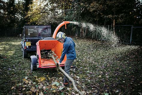 Tree Surgery Service Tree Surgeon Sheffield