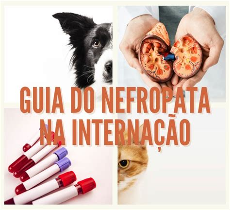 GUIA DO NEFROPATA NA INTERNAÇÃO Ana Gabriela Carneiro Hotmart