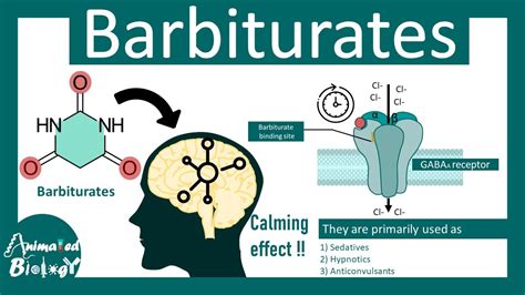 Barbiturates Mechanism Of Action Of Barbiturates Use And Side