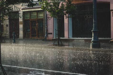 The Rain Keeps us Alive | Fotografia retro, Fotografia de paisagem, Imagens de fotografia