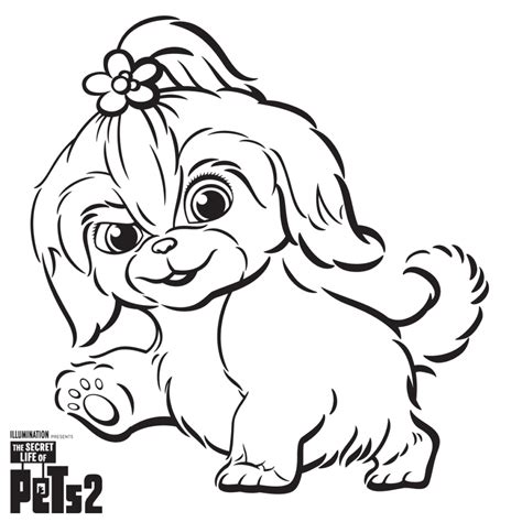 Secret Life Of Pets Coloring Pages Daisy