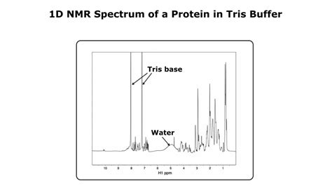 Investigating Protein Folding By Nmr An Easy Explanation