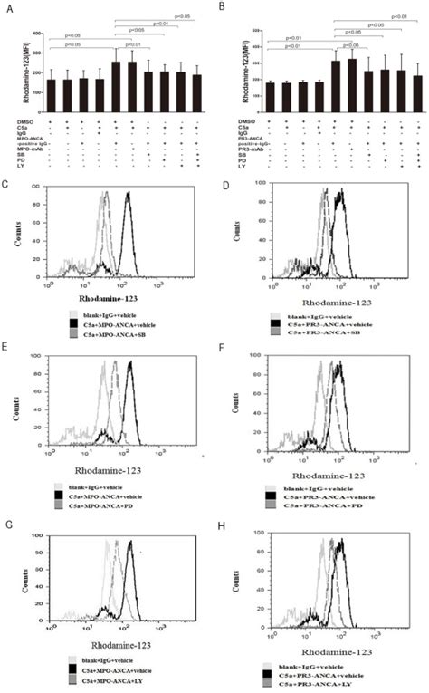 Pi3k Inhibitor Ly294002 Tocris Bioz