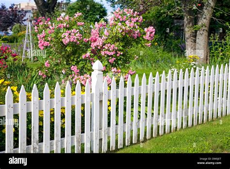 Picket Fence With Flowers Stock Photos And Picket Fence With Flowers