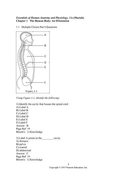 Chapter 1 Test Bank N A 1 Essentials Of Human Anatomy And