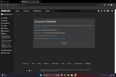 My account got terminated with no information, so I appealed and Roblox