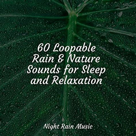 60 Loopable Rain And Nature Sounds For Sleep And Relaxation De Organic