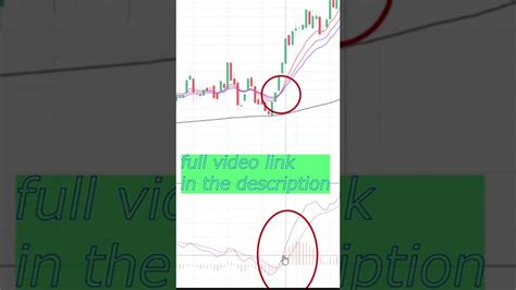 Binary Rise Fall Strategy Binary Strategy Win