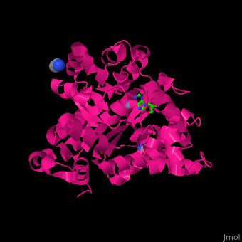 Adenosine deaminase - Proteopedia, life in 3D