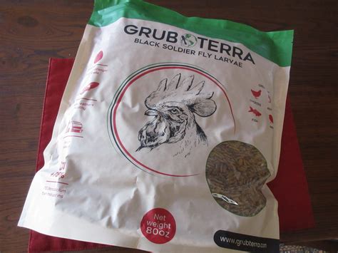 Review: GrubTerra Black Soldier Fly Larvae - Gardenerd