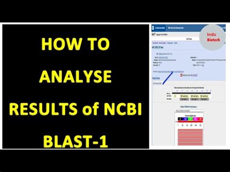 Blast Results Tutorial Interpretation Explanation Of Ncbi Blast