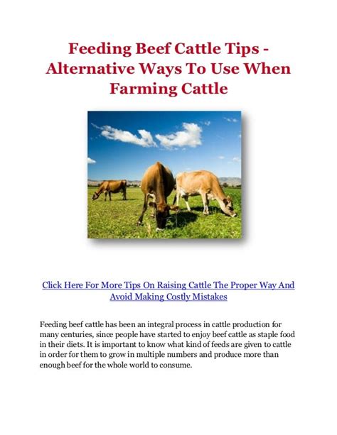 Feeding Beef Cattle Tips - Alternative Ways To Use When Farming Cattle