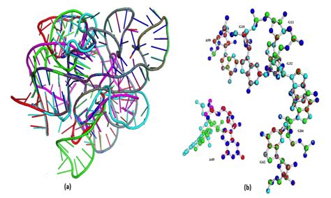 Alignment of FMN Riboswitch: The figure (a) shows the structure of the ...