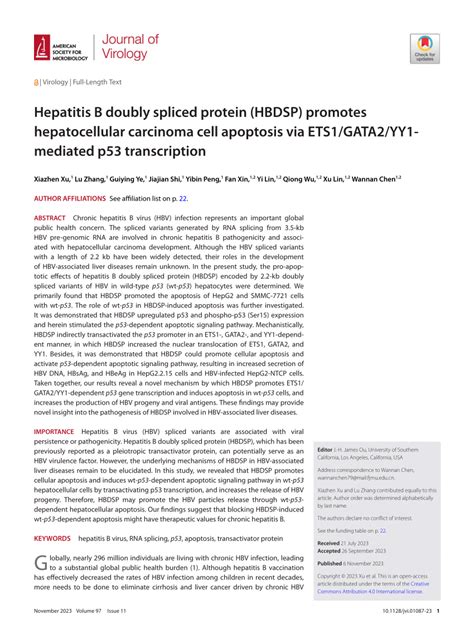 PDF Hepatitis B Doubly Spliced Protein HBDSP Promotes