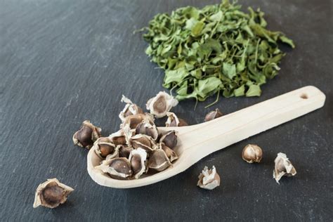 Semilla De Moringa Para Que Sirve Y Como Se Toma