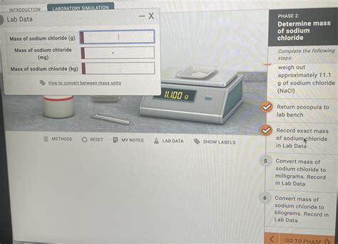 INTRODUCTION LABORATORY SIMULATION Lab Data PHASE 2 Determine Mass Of