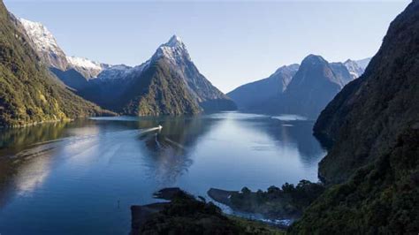 Milford Sound Bootsfahrt GetYourGuide