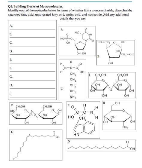 Solved Q1 Building Blocks Of Macromolecules Identify Each