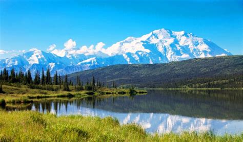 parker schnabels alaskan house  gold rush stars home nylahome