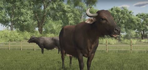 Farming Simulator 25 Confirmed Build Dynamic Pastures Farming