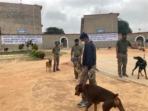 Photos Ccb Police Raid Parappana Agrahara Central Jail In Bengaluru