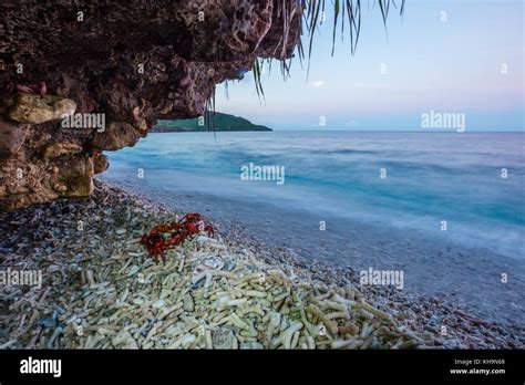 Red Crab at Ethel Beach, Christmas Island, Australia Stock Photo - Alamy